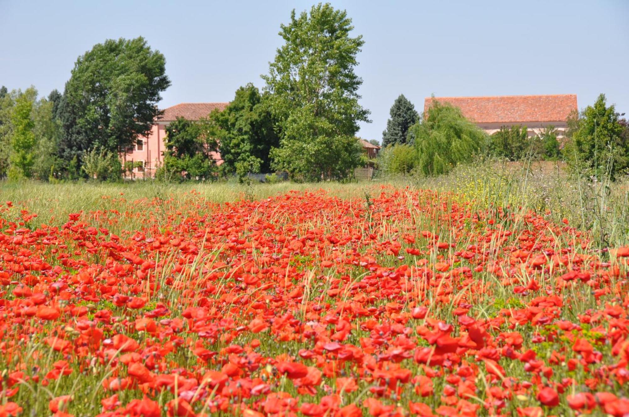 Bordeghina B&B In Farmhouse Pontecchio Polesine Экстерьер фото