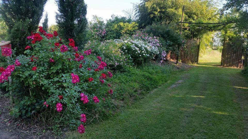 Bordeghina B&B In Farmhouse Pontecchio Polesine Экстерьер фото